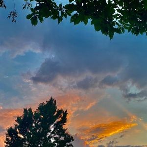 Meet your Posher, Ellie